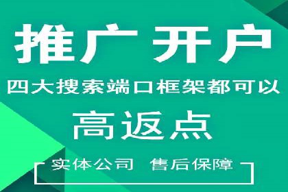 行业专家眼中的信息流代理：案例与未来趋势